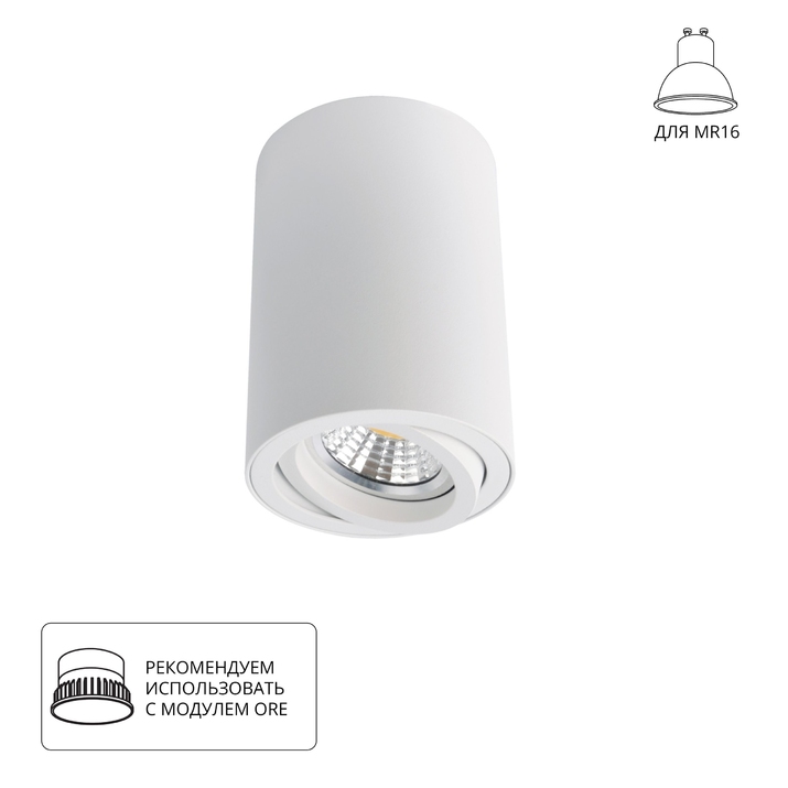 Точечный накладной светильник Arte Lamp SENTRY A1560PL-1WH фото