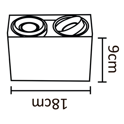 Точечный накладной светильник Arte Lamp PICTOR A5655PL-2WH