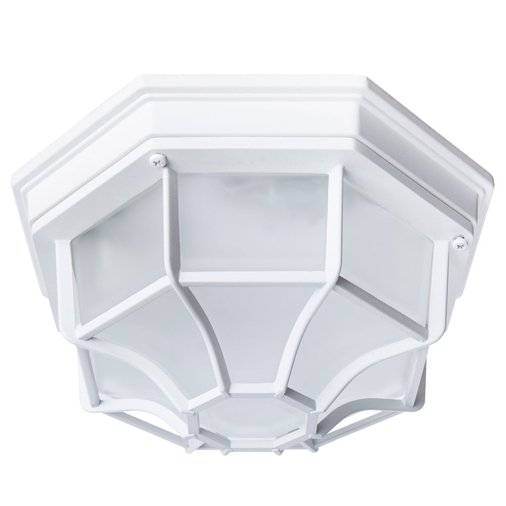 Уличный потолочный светильник Arte Lamp PEGASUS A3100PL-1WH фото