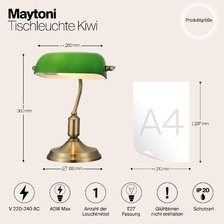 Фото кабинетные настольные лампы Z153-TL-01-BS_maytoni