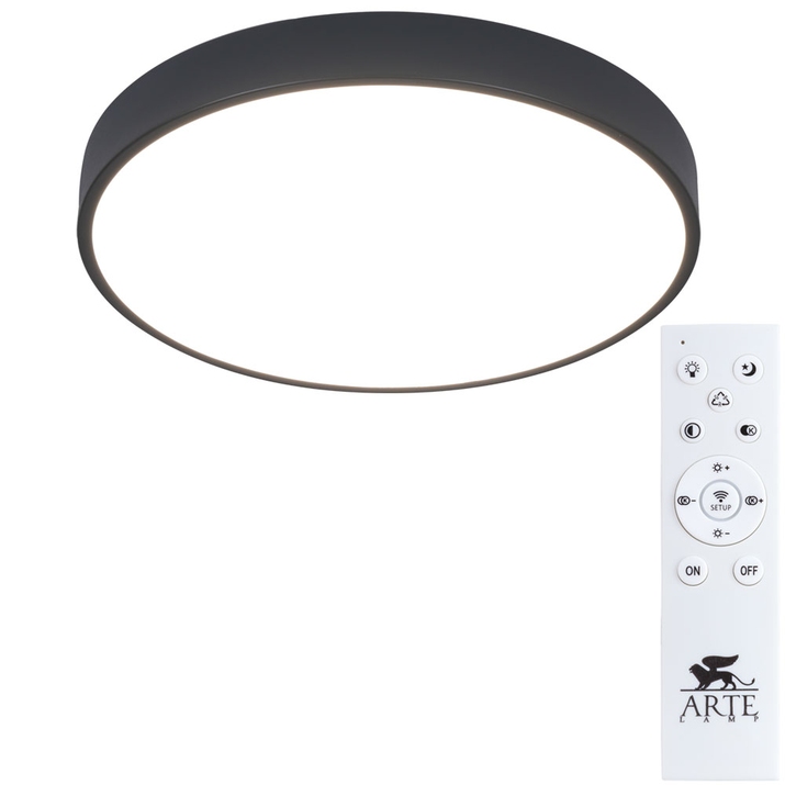 Потолочный светильник Arte Lamp ARENA A2661PL-1BK фото