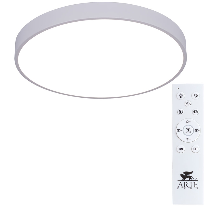 Потолочный светильник Arte Lamp ARENA A2670PL-1WH фото
