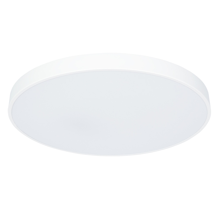 Потолочный светильник Arte Lamp ARENA A2671PL-1WH фото
