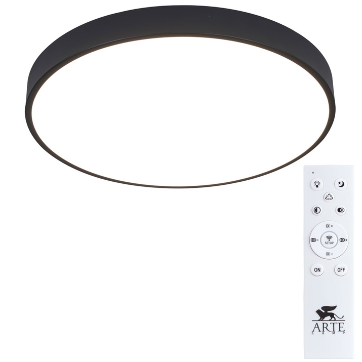 Потолочный светильник Arte Lamp ARENA A2672PL-1BK фото