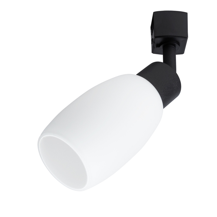 Трековый светильник Arte Lamp MIIA A3055PL-1BK фото
