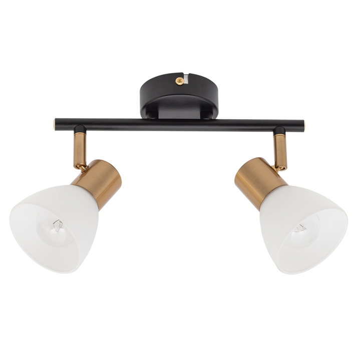 Спот Arte Lamp FALENA A3117PL-2BK фото