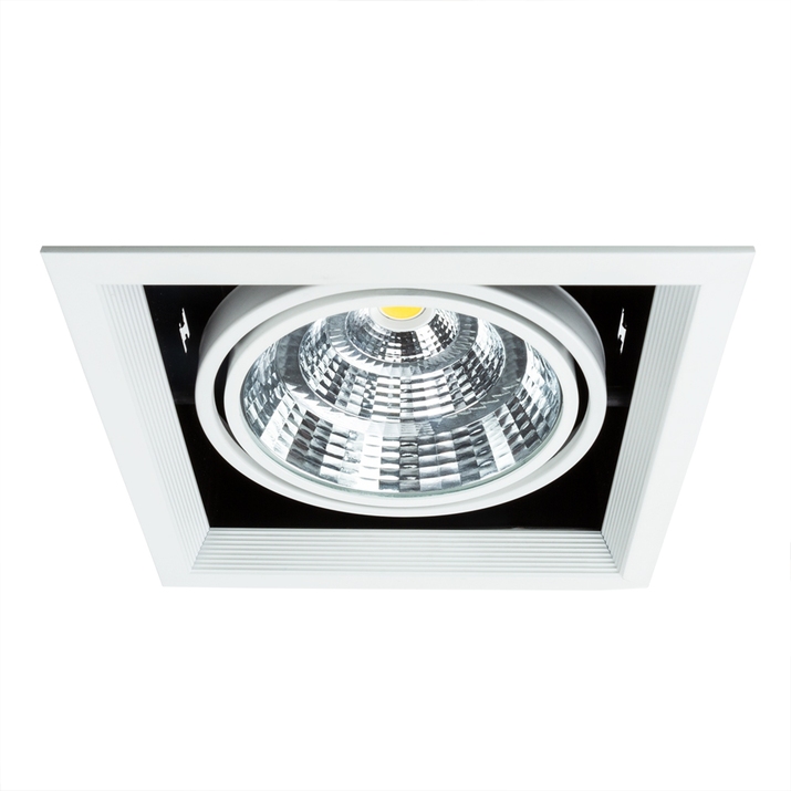Карданный светильник Arte Lamp MERGA A8450PL-1WH фото