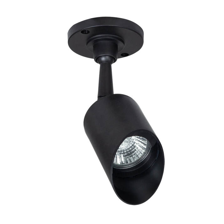 Уличный потолочный светильник Arte Lamp ELSIE A1022AL-1BK фото