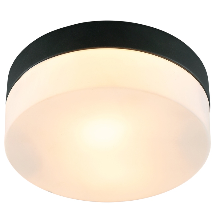 Потолочный светильник Arte Lamp AQUA-TABLET A6047PL-1BK фото