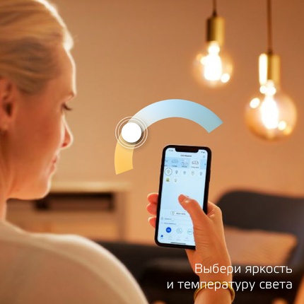 Светодиодная лампа Gauss SMART HOME Декоративная 6,5W 720Lm 2000-5500K E27 1370112