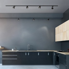 Фото трековые светильники A053741_elektrostandard