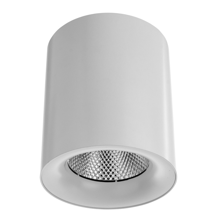 Точечный накладной светильник Arte Lamp FACILE A5130PL-1WH фото