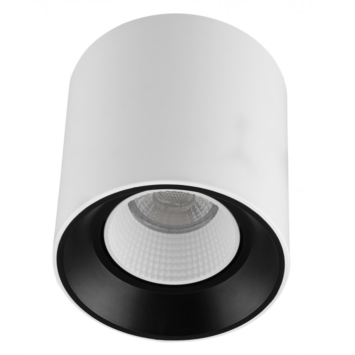 Точечный накладной светильник Denkirs DK3020WW DK3090-WB+WH фото