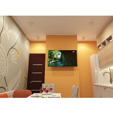 Фото точечные накладные светильники DK3090-WBR_denkirs