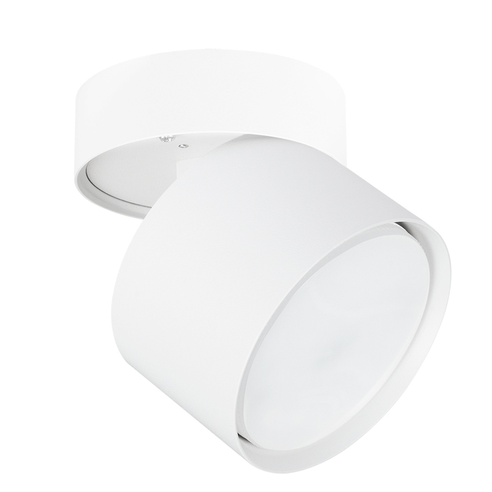 Спот Arte Lamp INTERCRUS A5549PL-1WH фото