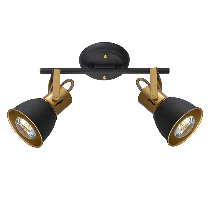 Спот Arte Lamp JOVI A1677PL-2GO фото