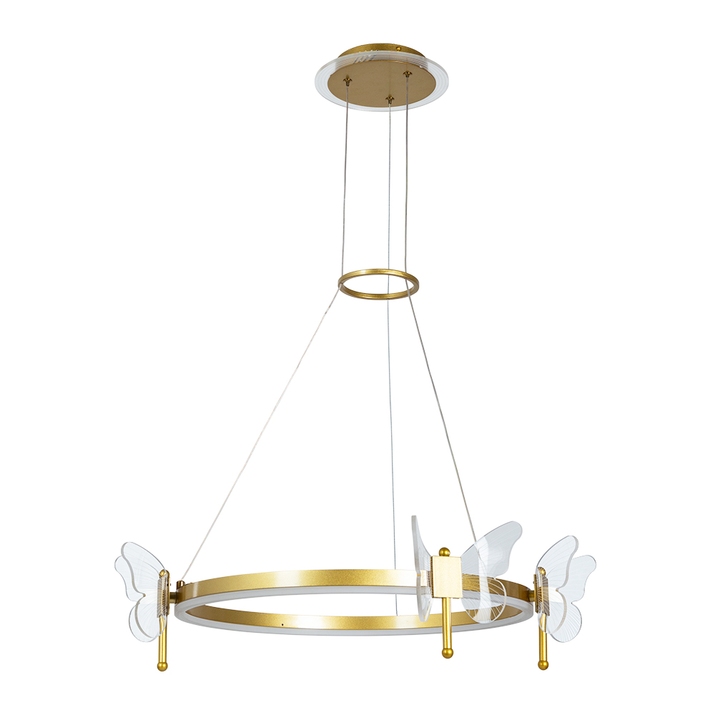 Подвесная люстра Arte Lamp DARCY A2187LM-1GO фото