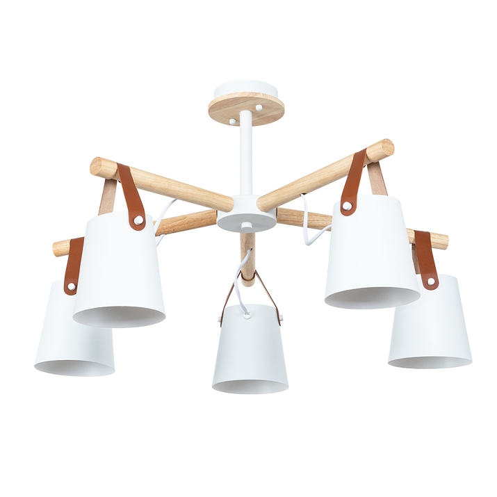 Потолочная люстра Arte Lamp THOMAS A7032PL-5WH фото