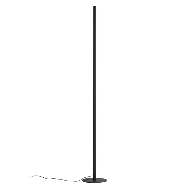 Торшер Odeon Light FILLINI 4335/32FL фото