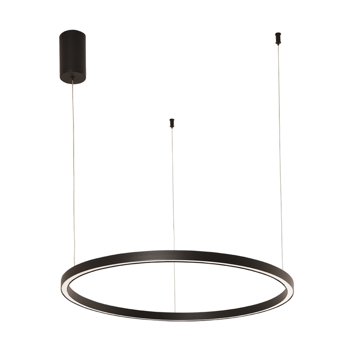 Подвесная люстра Arte Lamp SMOOTH A2223SP-1BK фото