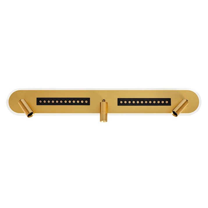 Спот Arte Lamp PISCES A2220PL-3GO фото