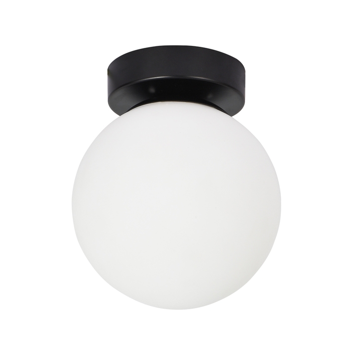 Настенно-потолочный светильник Arte Lamp ALCOR A2224PL-1BK фото