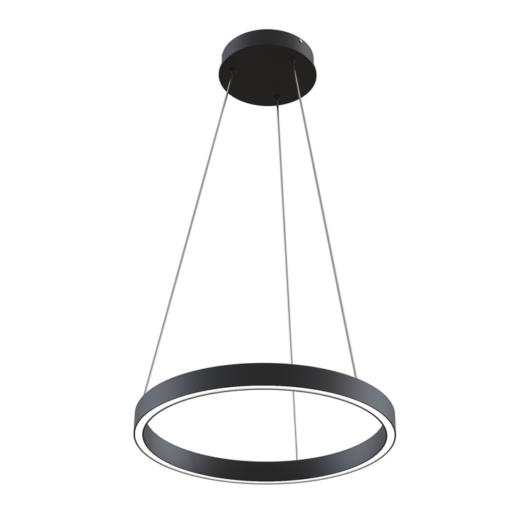 Подвесная люстра Maytoni RIM MOD058PL-L22BK фото