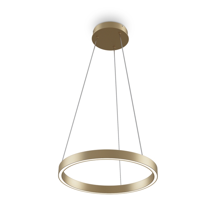 Подвесная люстра Maytoni RIM MOD058PL-L22BSK фото