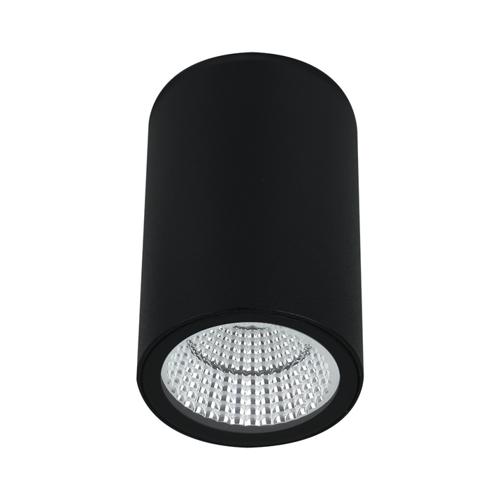 Уличный потолочный светильник Arte Lamp TORCULAR A1807PF-1BK фото