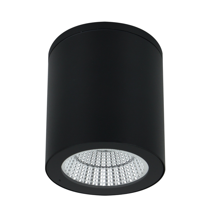 Уличный потолочный светильник Arte Lamp TORCULAR A1813PF-1BK фото