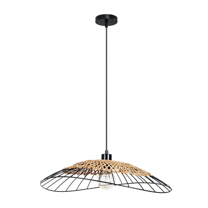 Подвесной светильник Arte Lamp WOODSTOCK A7061SP-1BK фото