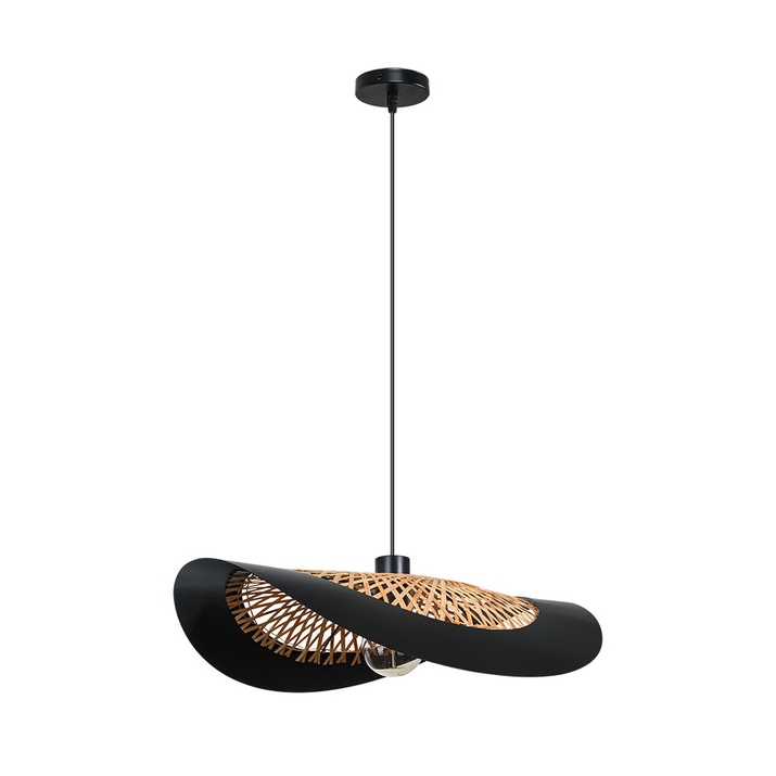 Подвесной светильник Arte Lamp WOODSTOCK A7059SP-1BK фото