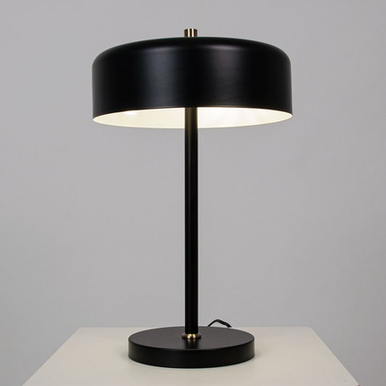 Декоративная настольная лампа Arte Lamp SKAT A7052LT-2BK