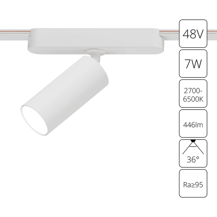 Магнитный трековый светильник Arte Lamp RAPID SMART A2956PL-1WH фото