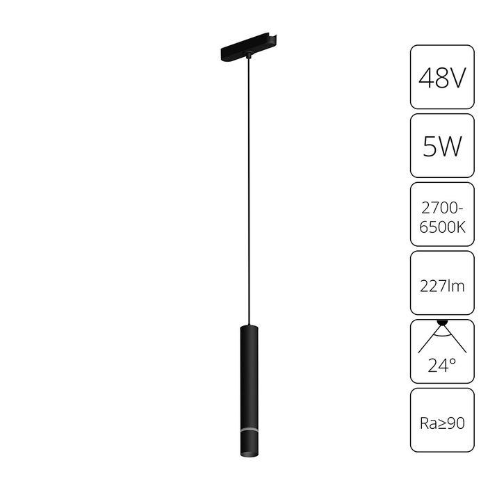 Магнитный трековый светильник Arte Lamp RAPID SMART A2959PL-1BK фото