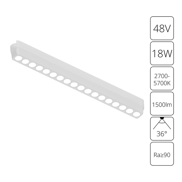 Магнитный трековый светильник Arte Lamp RAPID SMART A2969PL-1WH фото