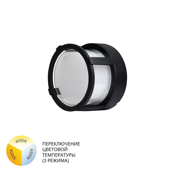 Уличный потолочный светильник Arte Lamp ULYSSES A6206PF-1BK фото