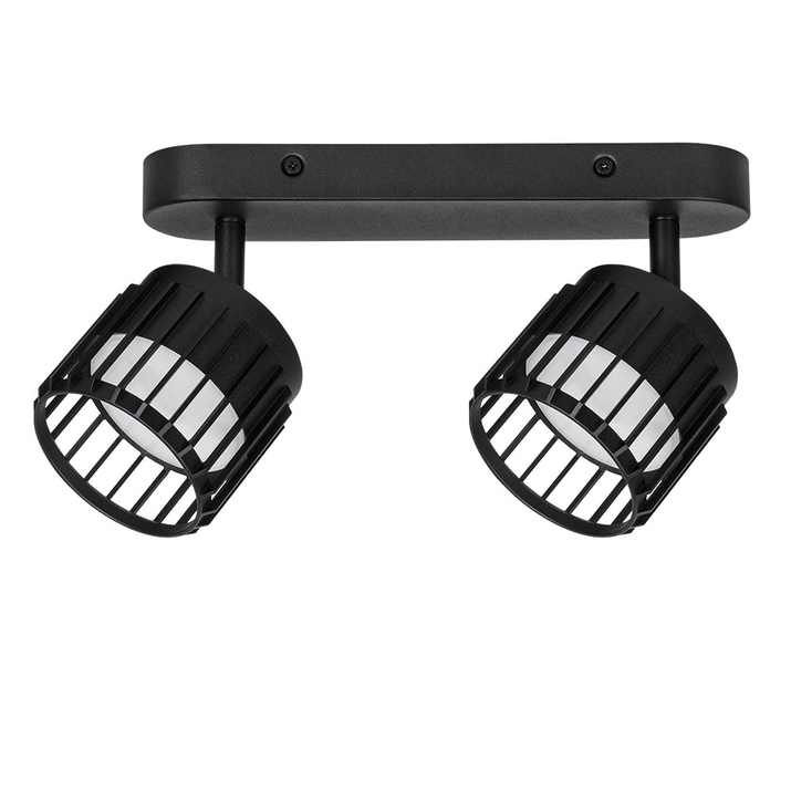 Спот Arte Lamp ATRIA A8031PL-2BK фото