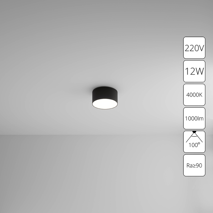 Потолочный светильник Arte Lamp FADO A6612PL-1BK фото