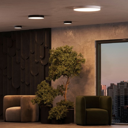 Потолочный светильник Arte Lamp FADO A6699PL-1WH