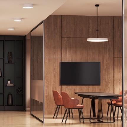 Потолочный светильник Arte Lamp FADO A6699PL-1WH