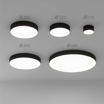 Потолочный светильник Arte Lamp FADO A7399PL-1BK