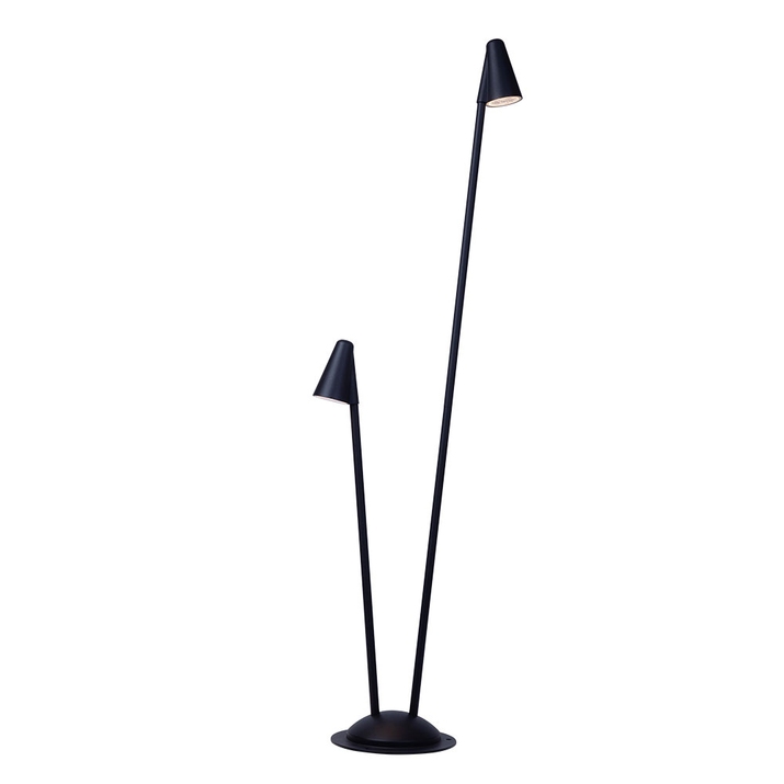 Ландшафтный светильник Arte Lamp MUPHRID A4109PA-2BK фото