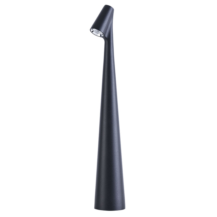Декоративная настольная лампа Arte Lamp FUSION A3283LT-2BK фото