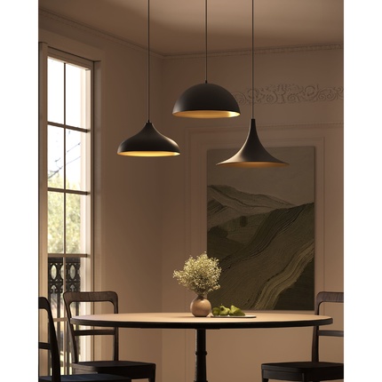 Подвесной светильник Arte Lamp CARMEL A7080SP-1BK