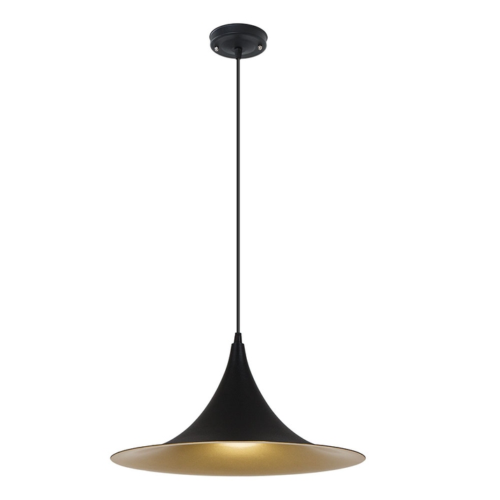 Подвесной светильник Arte Lamp CARMEL A7080SP-1BK фото
