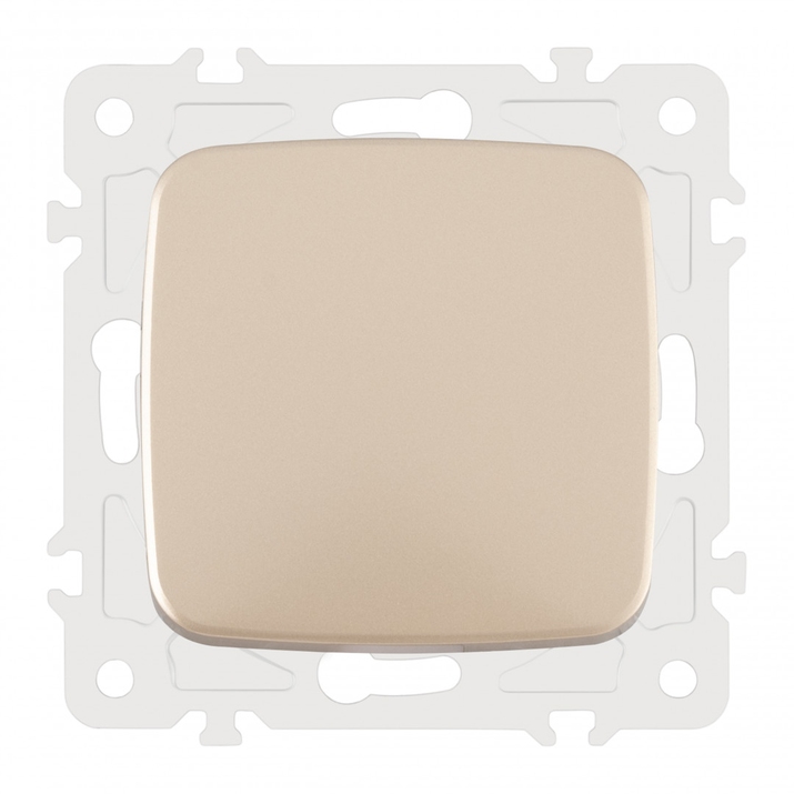 Переключатель одноклавишный Arte Milano AM-205 205.34-1.shampan фото