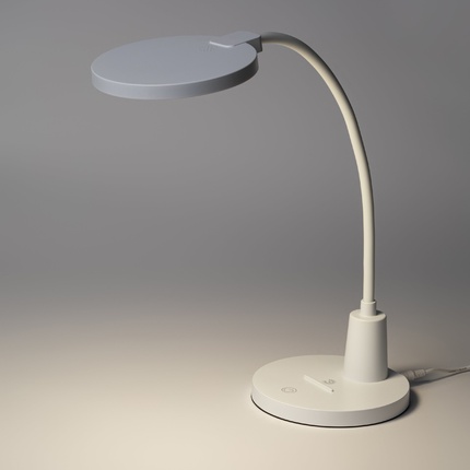 Офисная настольная лампа Эра NLED-501-10W-W Б0059839