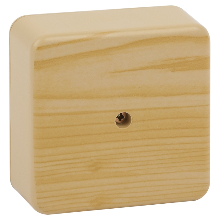 Монтажная коробка Эра BS-P-100-100-50 Б0058708 фото