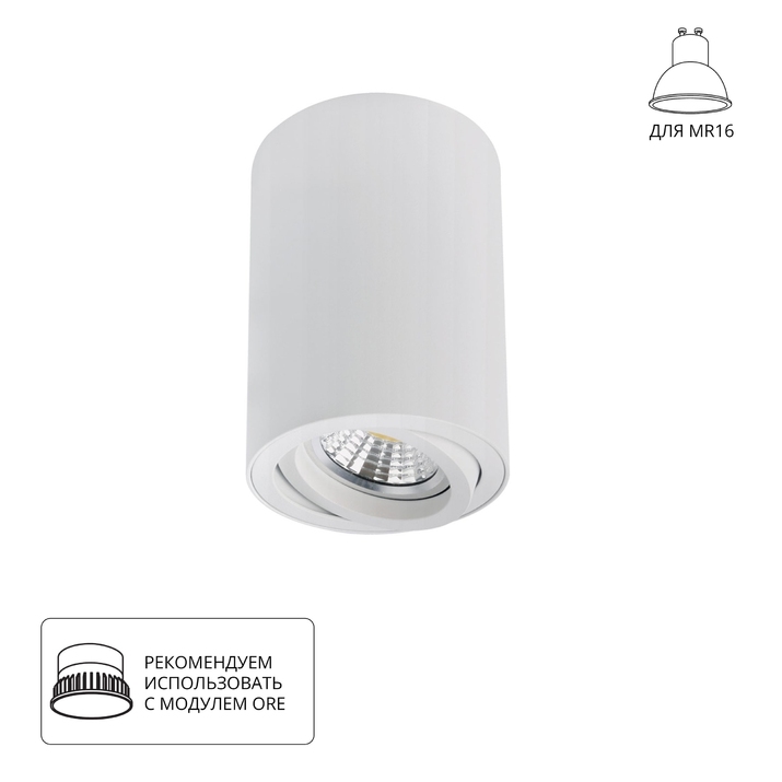 Точечный накладной светильник Arte Lamp SENTRY A1566PL-1WH фото